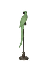 Amabela Medium Parrot - Green