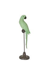 Amabela Small Parrot - Green