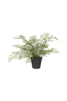 Faux Maidenhair Fern Pot - Magpie Style