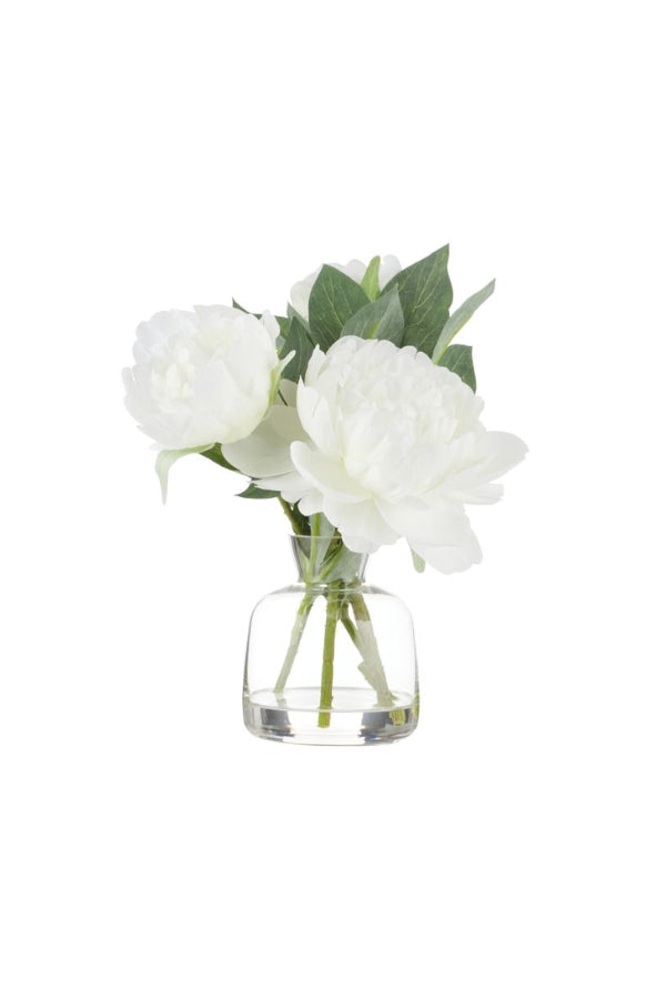 Peony Stem - Clear Vase