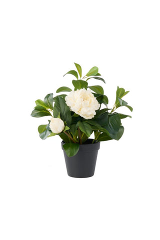 Faux White Peony Pot