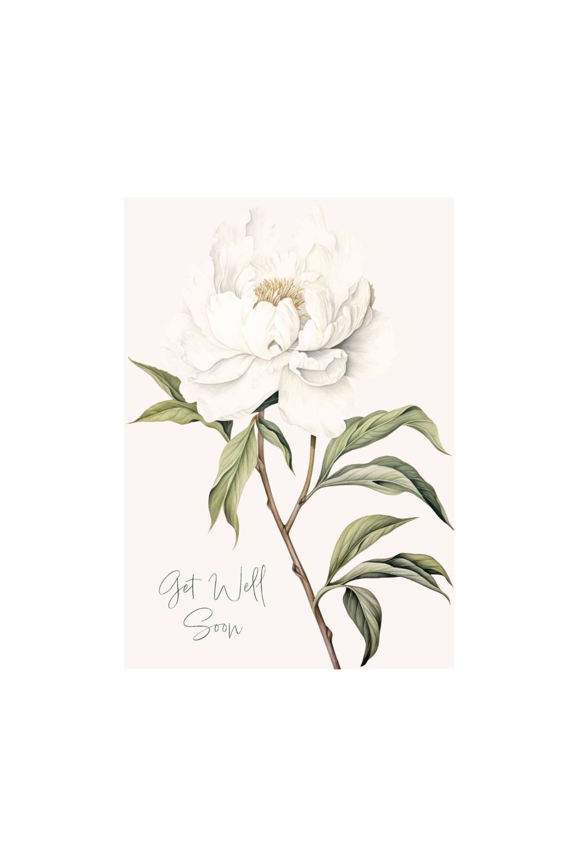 Card - White Peony Get Well - Magpie Style