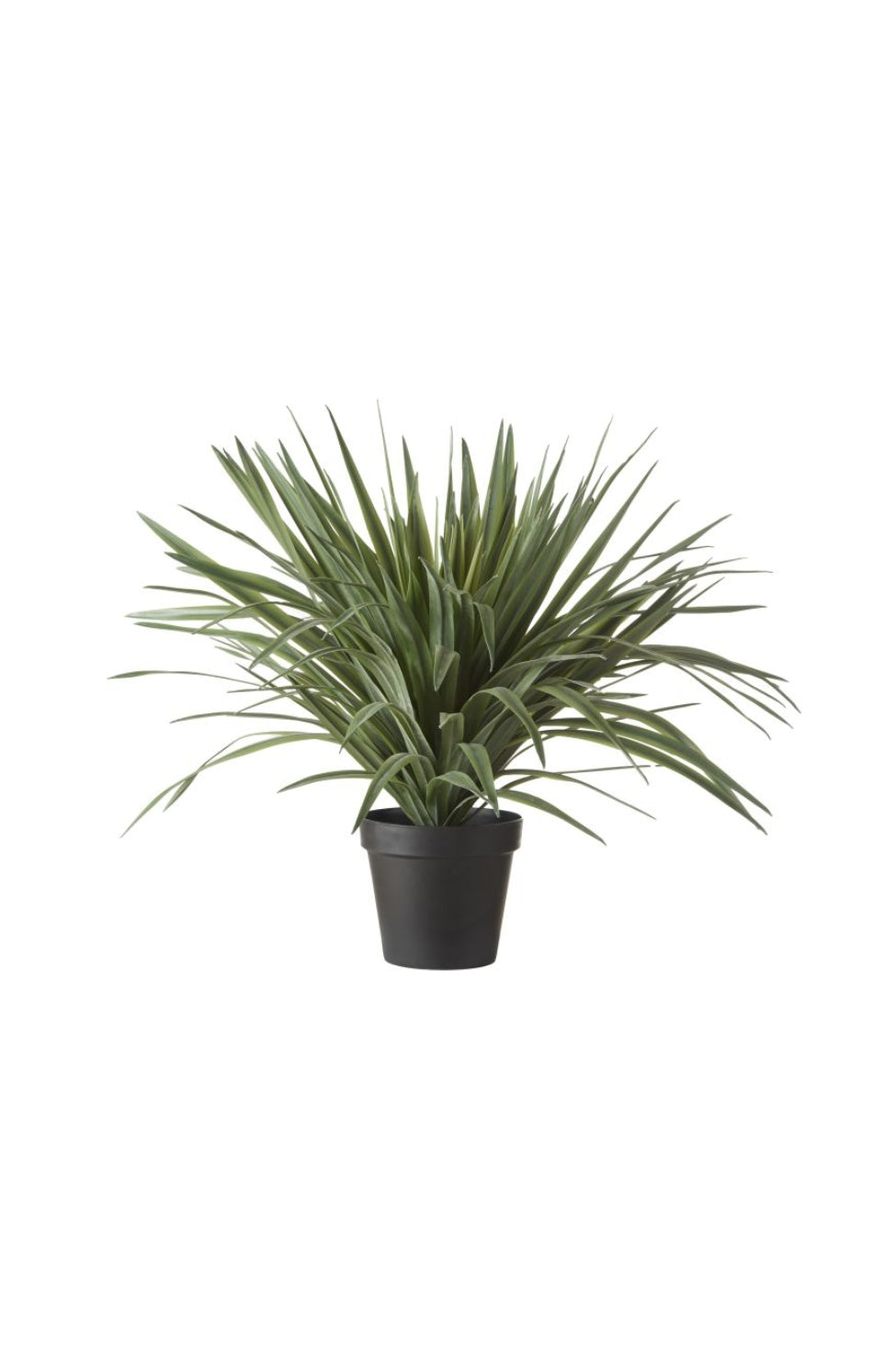 Faux Sisal Plant - Black Pot - Magpie Style