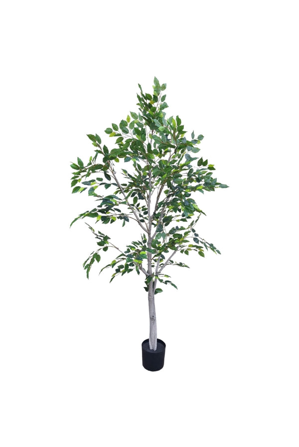 Real Touch Ficus Tree - 180cm - Magpie Style