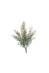 Acacia Leaf Bush