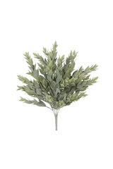 Ruscus Bush - Green