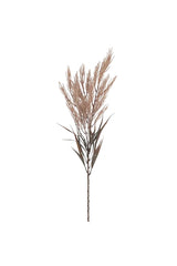 Plume Grass Spray