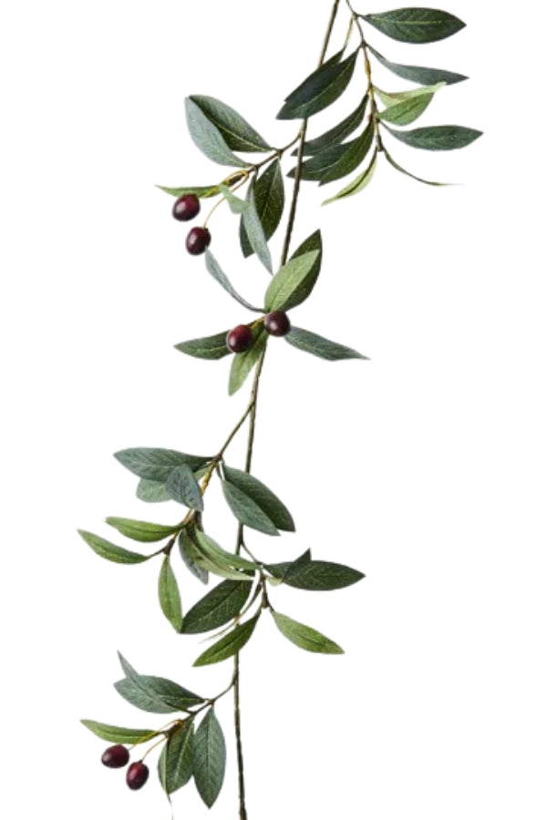Olive Garland