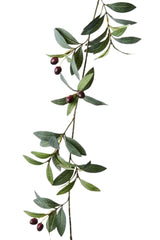 Olive Garland