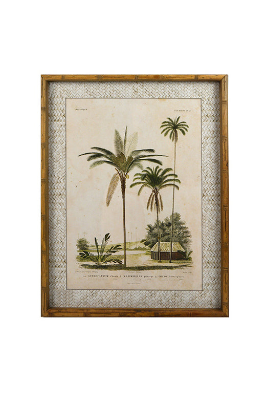Zanzibar Village Palms Glass Framed Print - Magpie Style