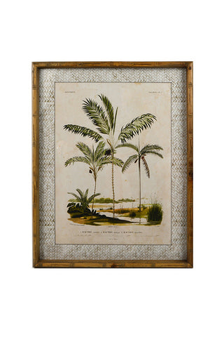 Zanzibar Palms Glass Framed Print