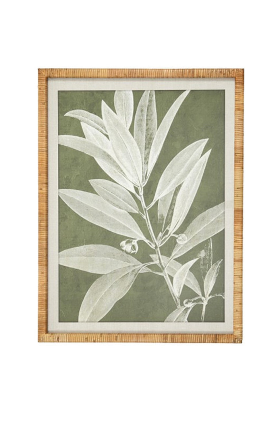 Olive Botanical Wall Art II - Magpie Style