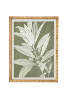 Olive Botanical Wall Art II - Magpie Style
