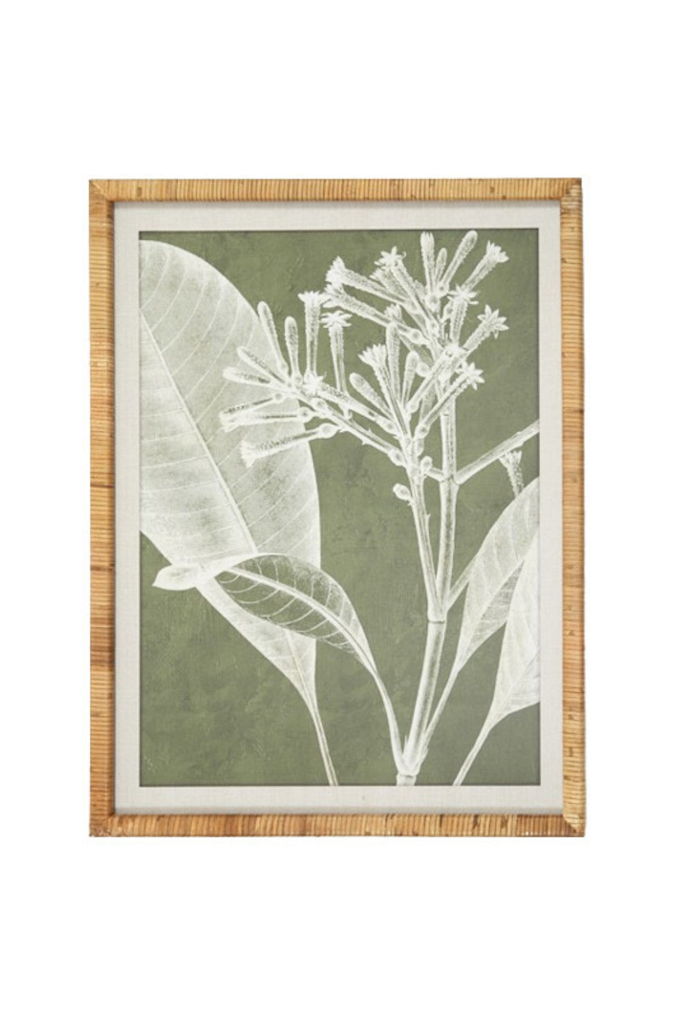 Wildflower Botanical Framed Print