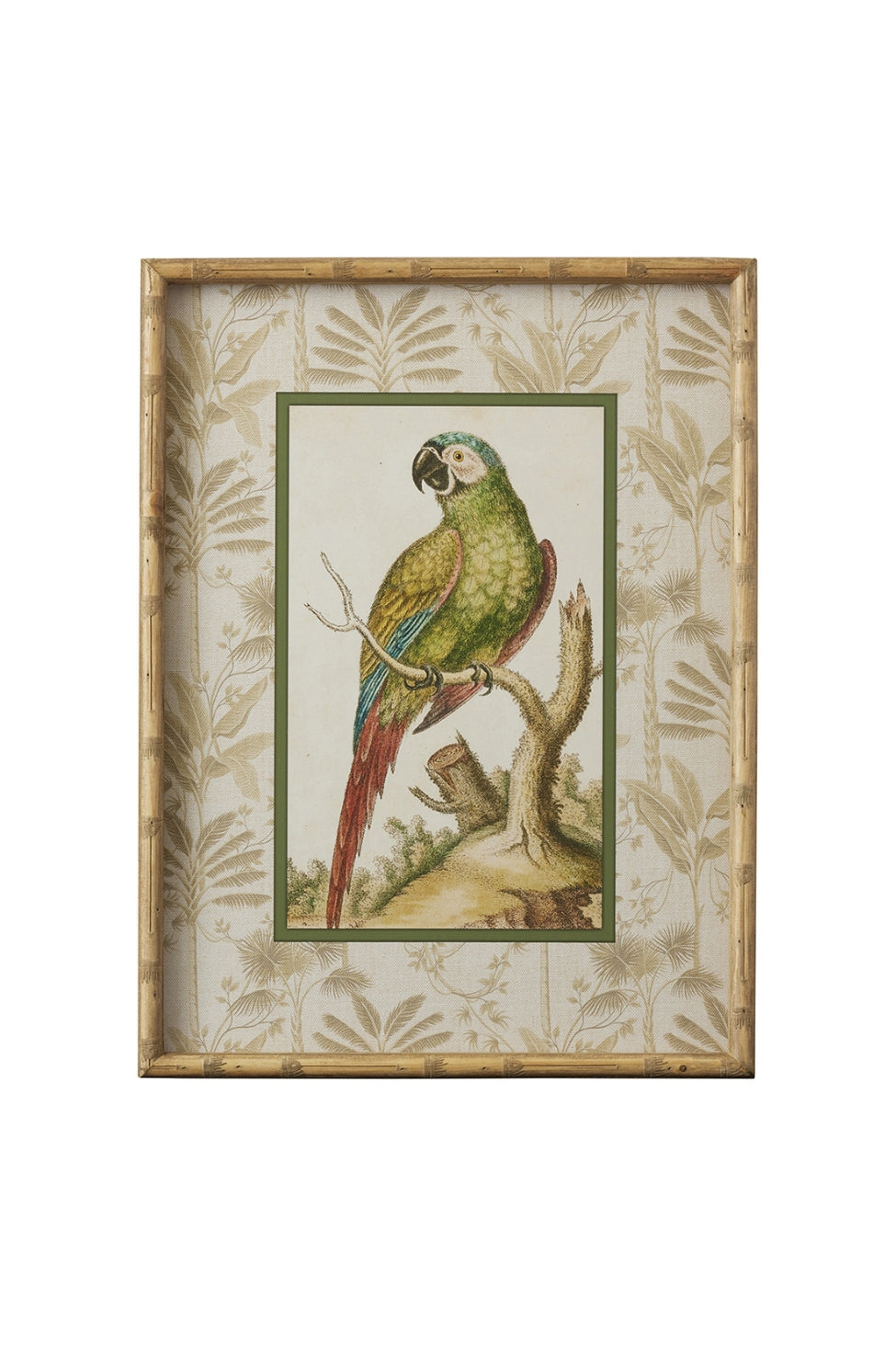 Long Tail Parrot Bamboo Frame