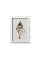 Scalloped Shell Study A - Magpie Style