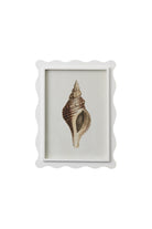 Scalloped Shell Study C - Magpie Style