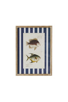Nautical Stripe Fish Study C - Magpie Style