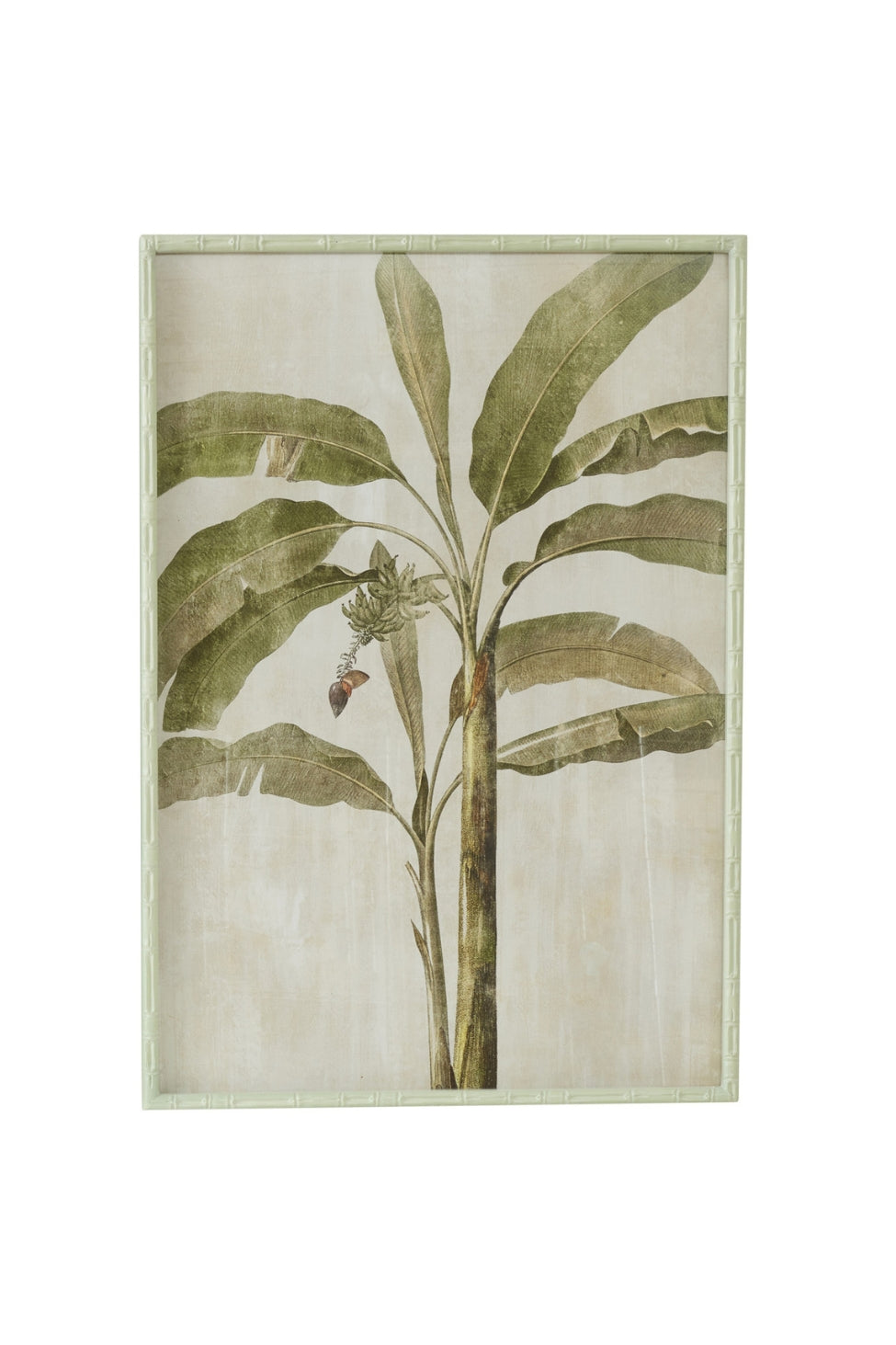 Banana Palm Botanical Panel