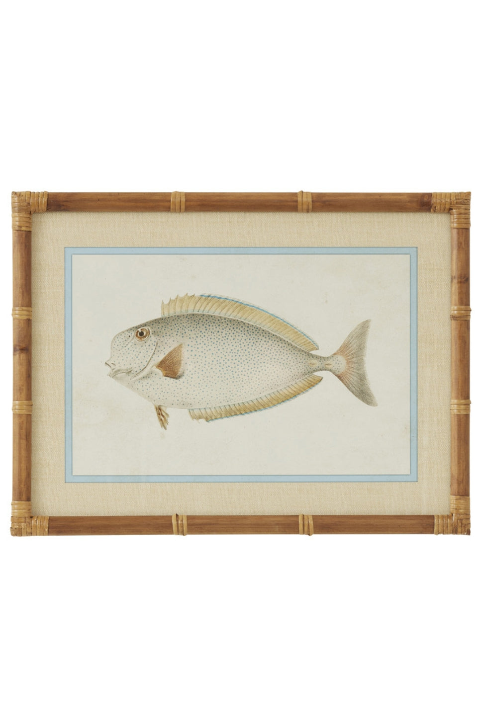 Laguna Reef Fish Study