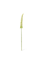 Foxtail Lily Stem - Green - Magpie Style
