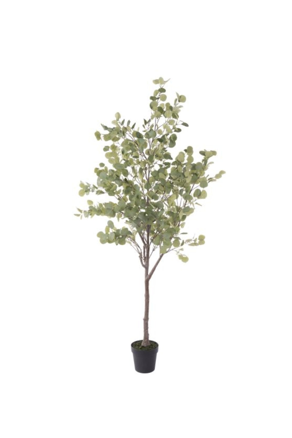 Large Faux Eucalyptus Tree in Pot - Magpie Style
