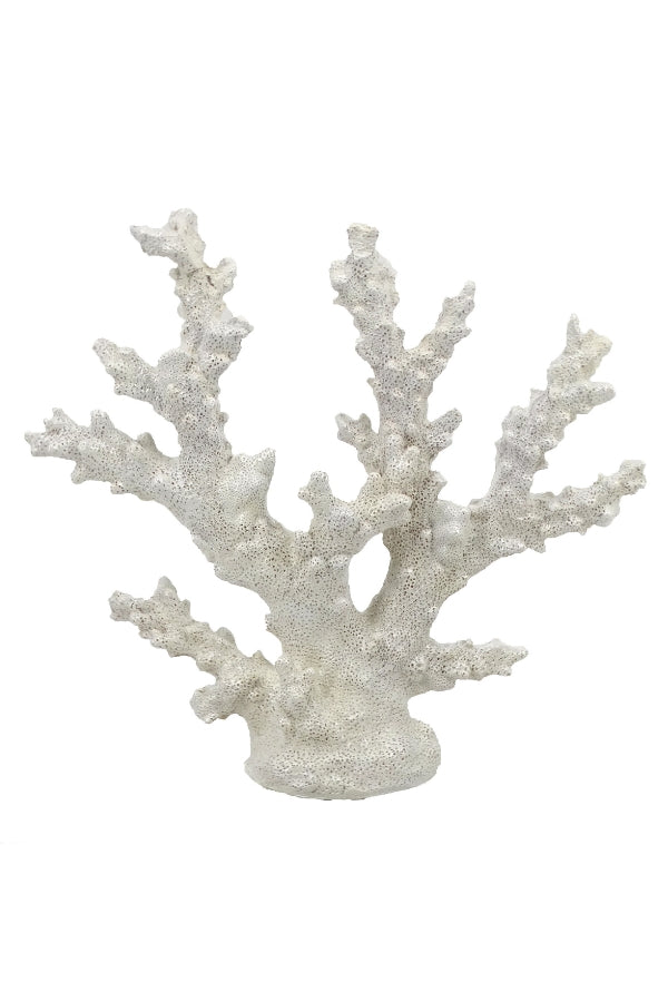 Chelsea Coral on Base