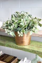 Eucalyptus Bush - Green