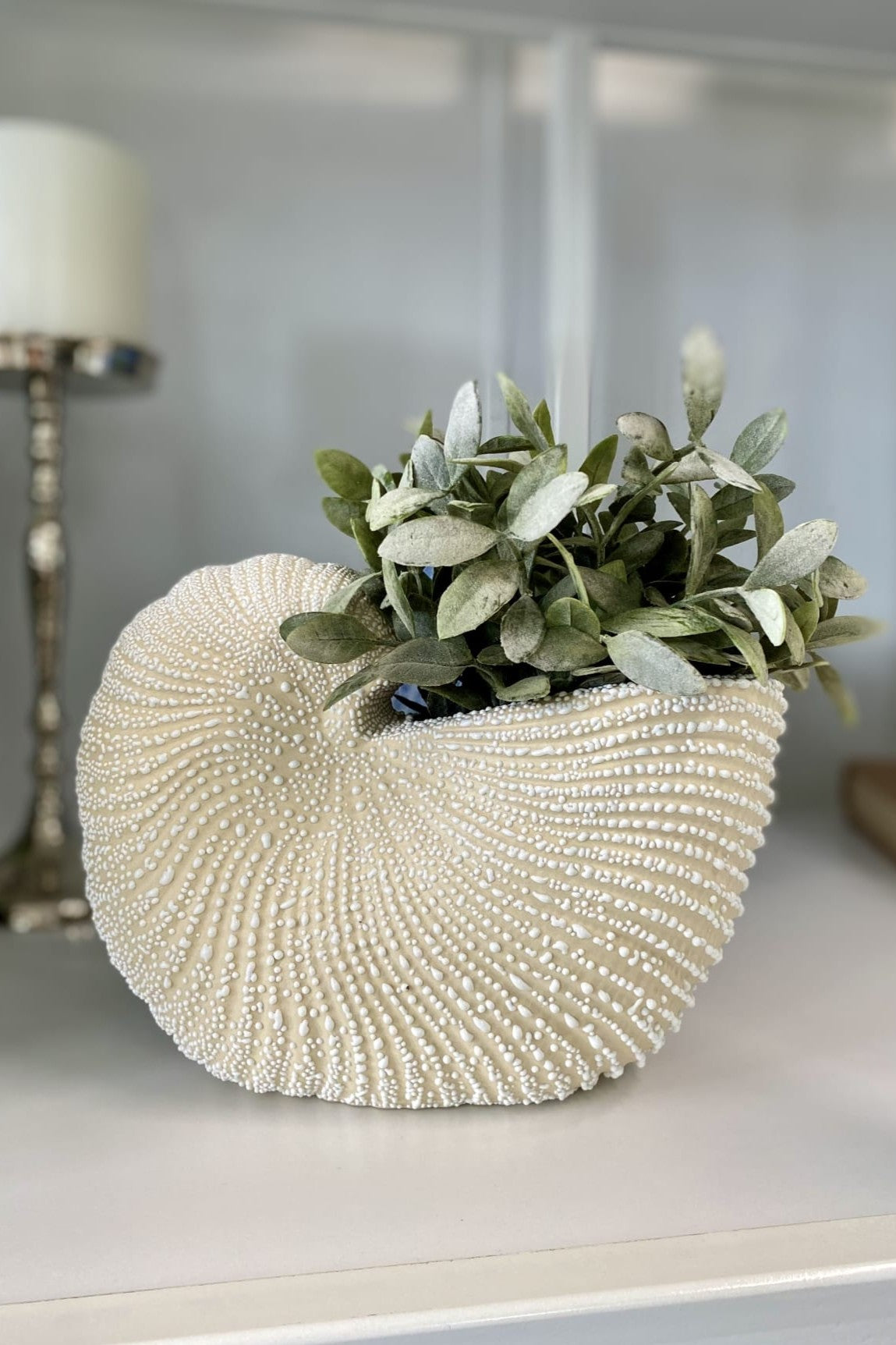 Nautilus Ceramic Planter White - Magpie Style