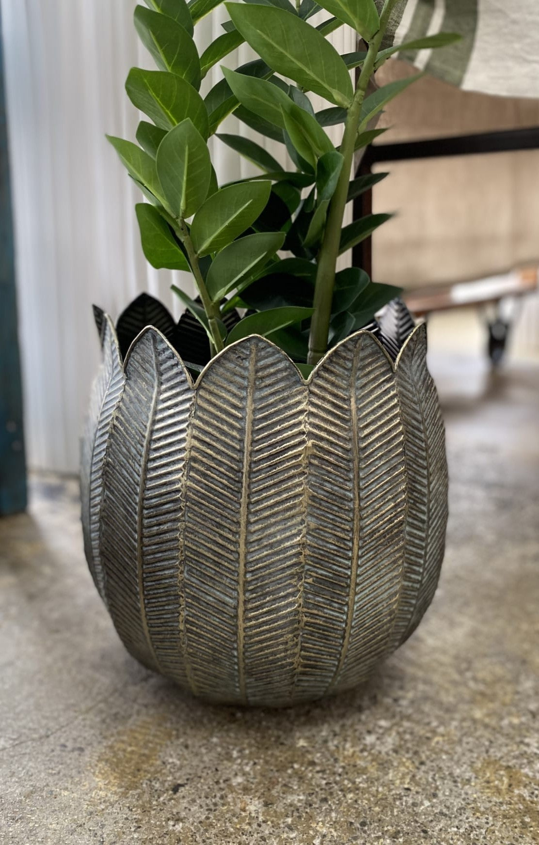 Demi Planter Antique Black Medium - Magpie Style