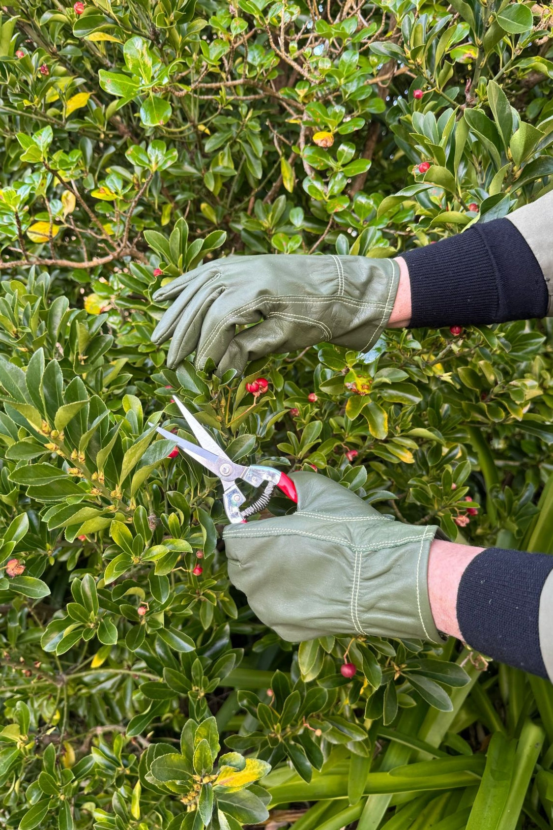 Green Leather Gardening Gloves - Medium - Magpie Style