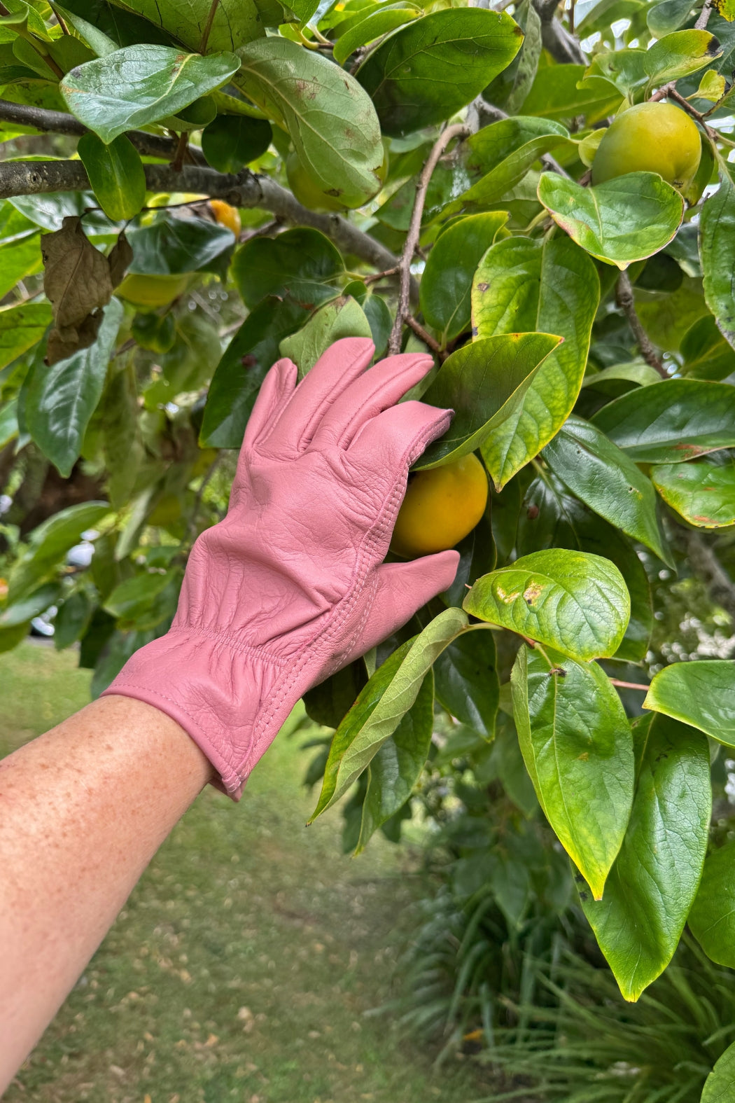 Small Leather Gardening Glove - Pink - Magpie Style