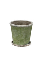 Evergreen Pot & Saucer - Large - Magpie Style