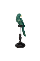 Draper Blue Parrot on Perch