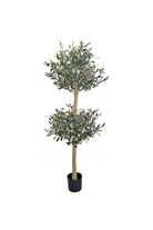Olive Tree - 150cm - Magpie Style