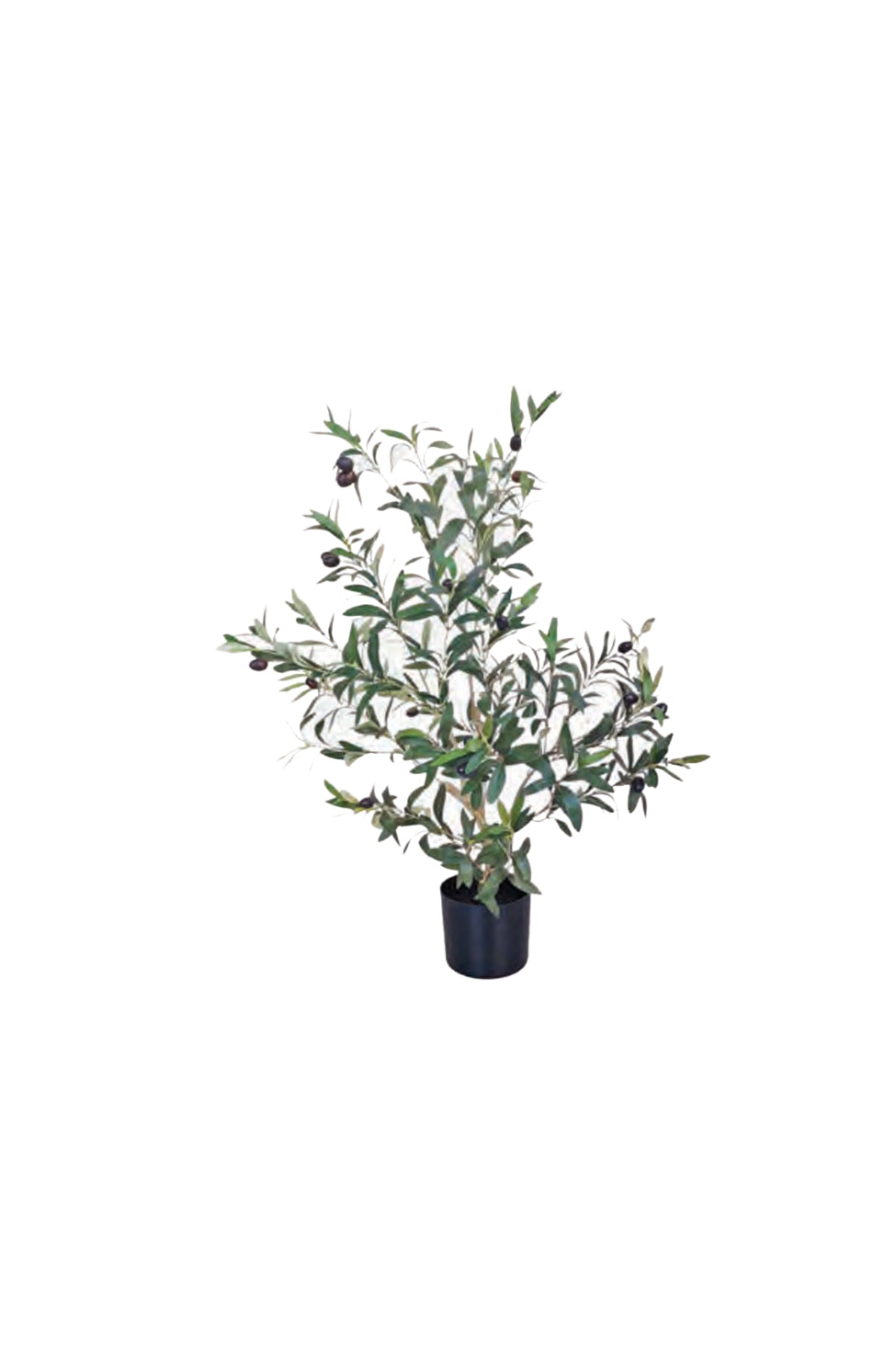 Olive Tree - 80cm - Magpie Style