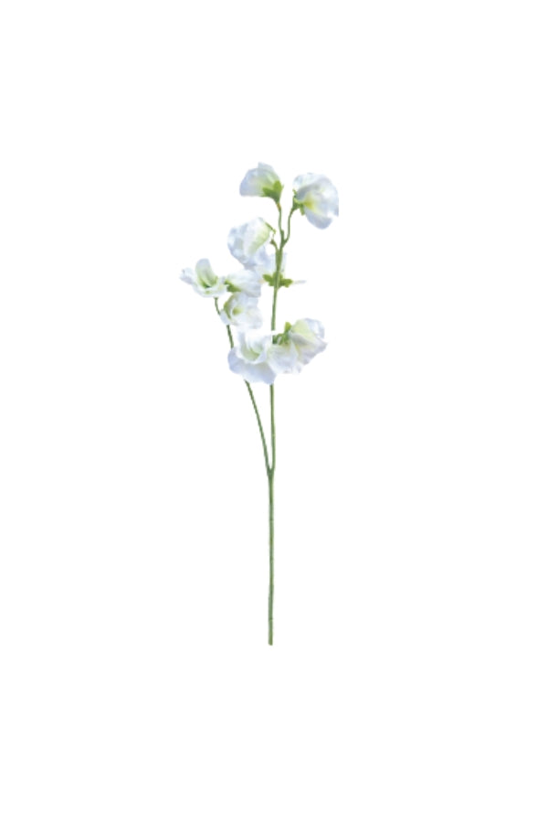 Sweetpea x2 Sprays