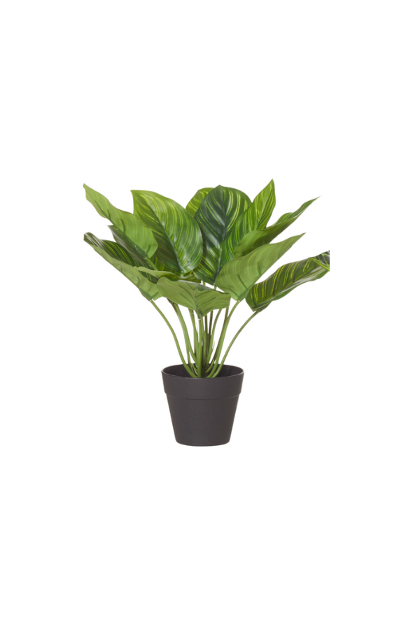 Classic Stripe Small Garden Pot - Magpie Style