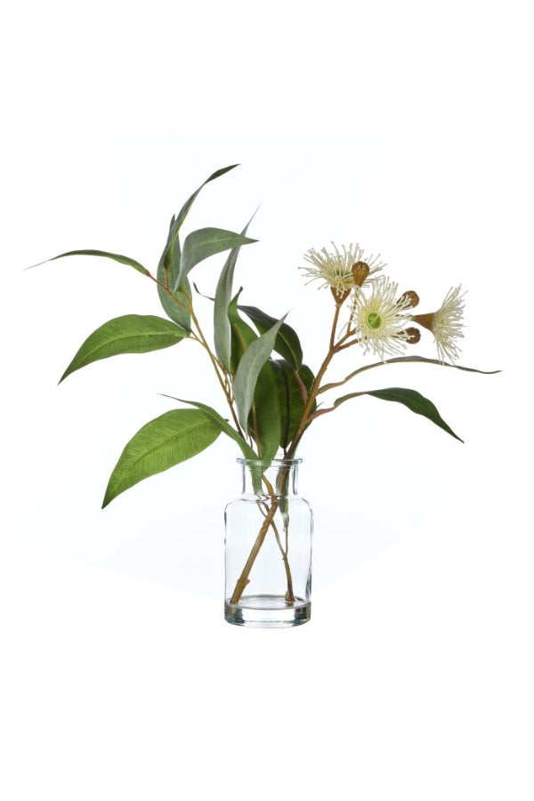 Wattle Spray Green - Specimen - Magpie Style
