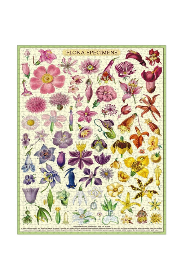 Flora Specimens 1000 Piece Vintage Puzzle - Magpie Style