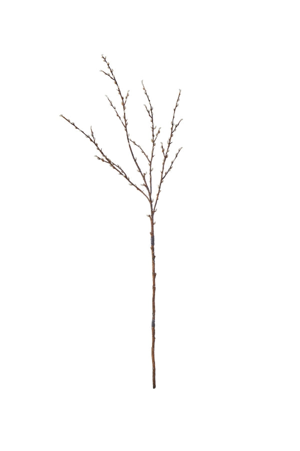 Bud Branch - Natural