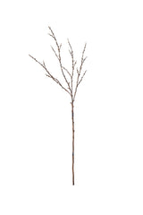 Bud Branch - Natural