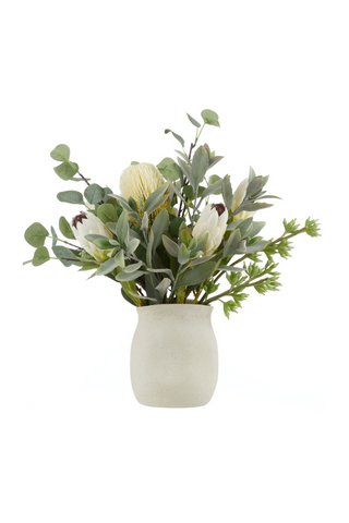 Australis Protea Eucalyptus Mix-Malia Pot