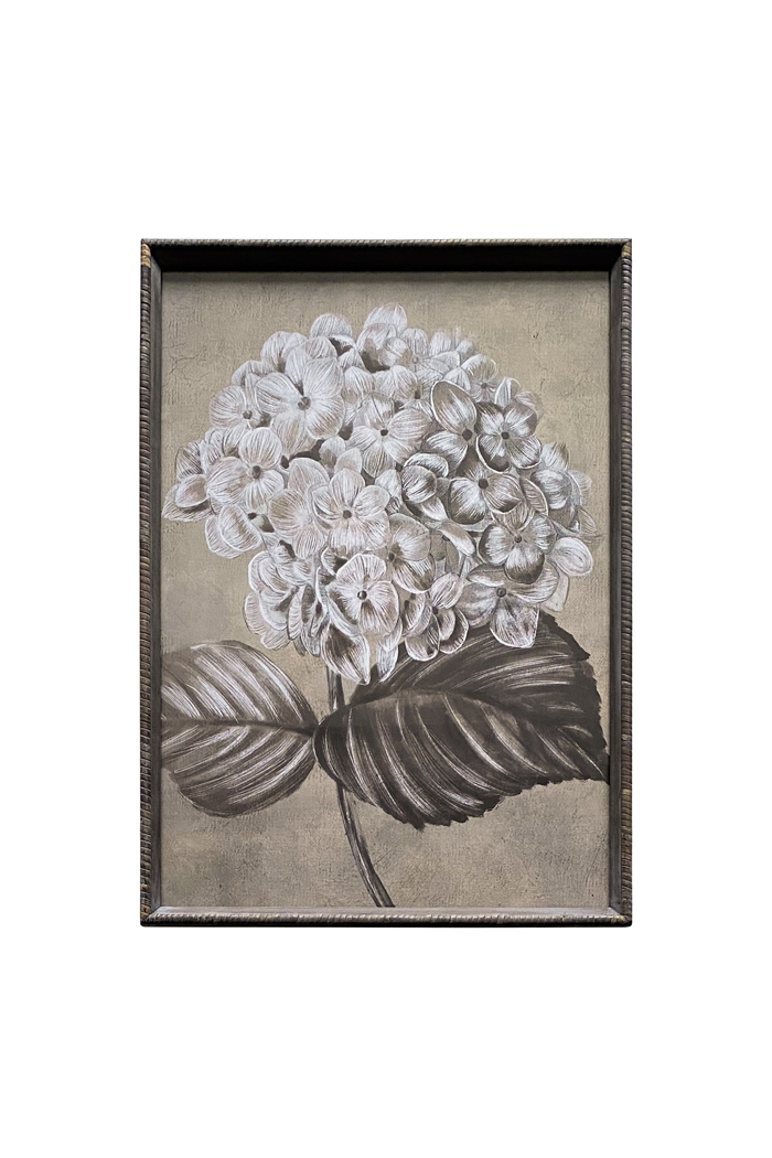 Finch Sepia Hydrangea Artwork