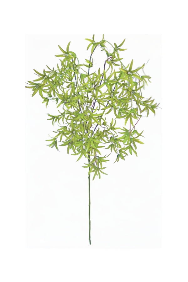 Wild Orchid Tree - Green - Magpie Style