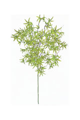 Wild Orchid Tree - Green