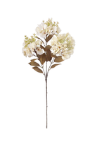 Budding Fall Hydrangea - Antique Ivory