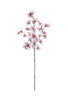 Clematis Spray - Dusky Pink
