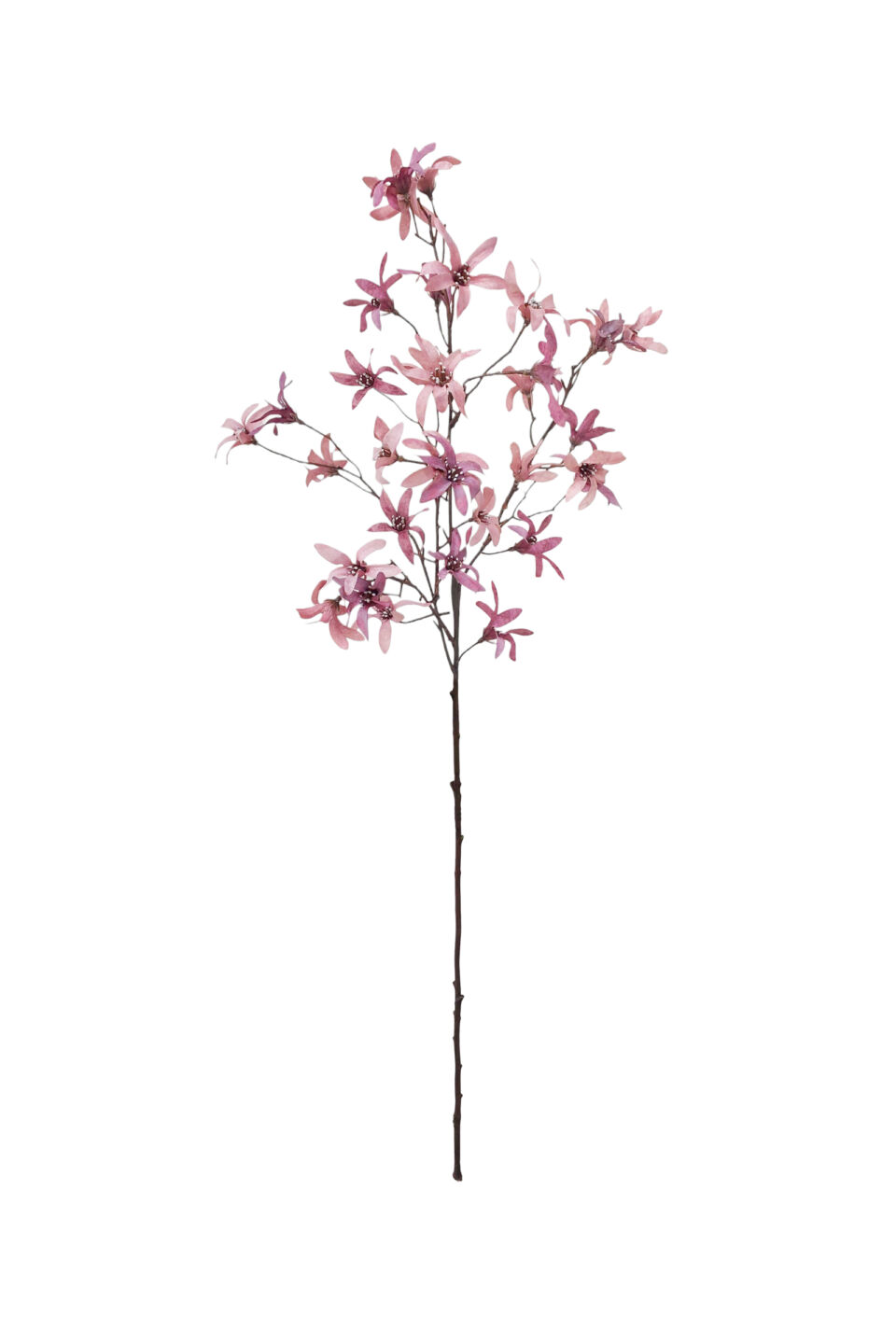 Clematis Spray - Dusky Pink