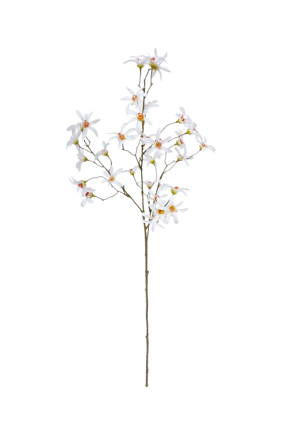 Clematis Spray - White